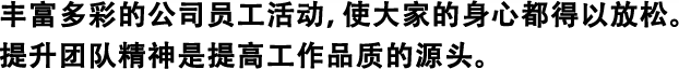 丰富多彩的公司员工活动，使大家的身心都得以放松。 提升团队精神是提高工作品质的源头。